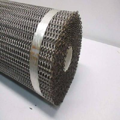 SS Wire Mesh Conveyor Belt