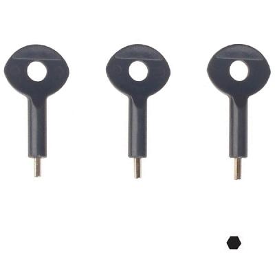 Allen Key Panel Lock