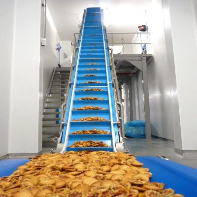 Food Processing Conveyor Belts