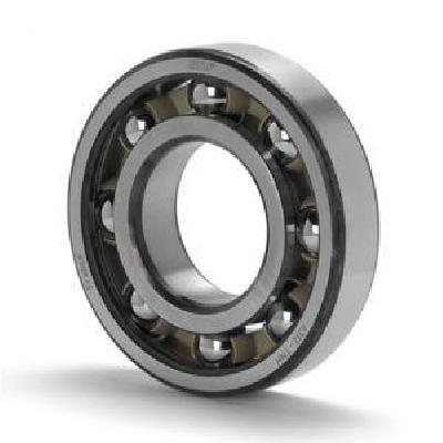 VIPSA 6305, 6305ZZ And 6305 2RS Ball Bearing