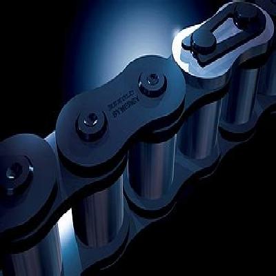 Renold Transmission Chain