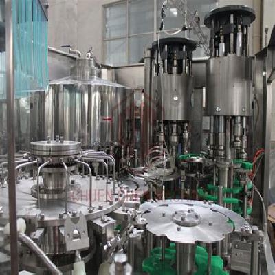 Rotary Water Bottle Filling Machine