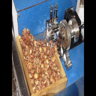 Supari Cutting Machine