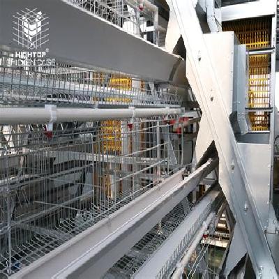 Fully Automatic Feeder Machine