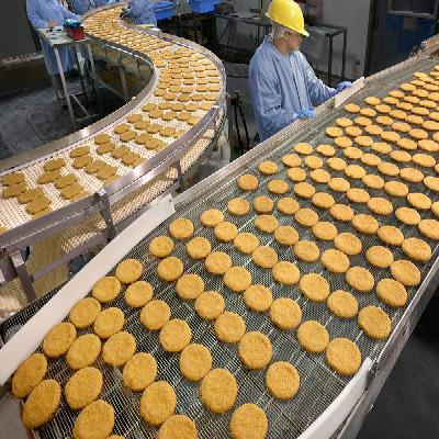Biscuit Industries Belt Conveyor