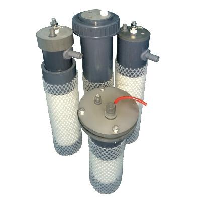 Anode Cells