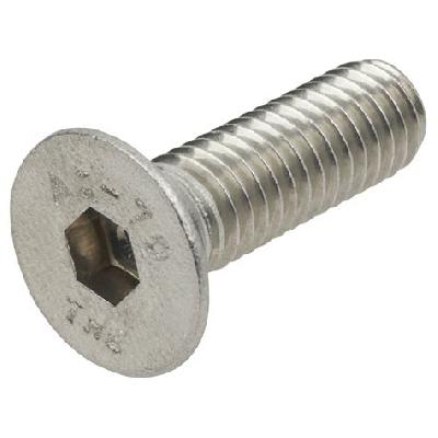 Stainless Steel Countersunk Head Screw