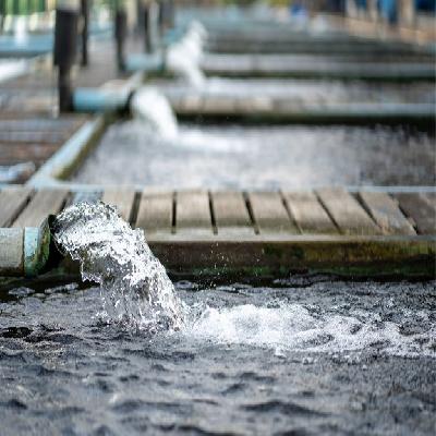 Effluent Treatment System