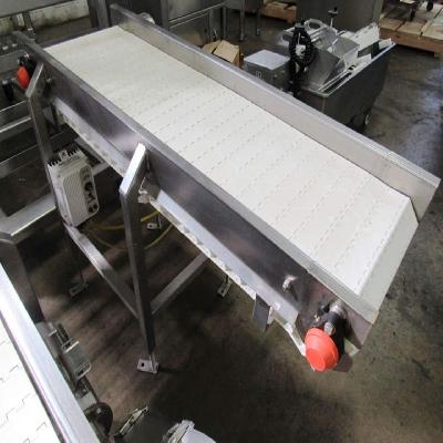 Stainless Steel Conveyors