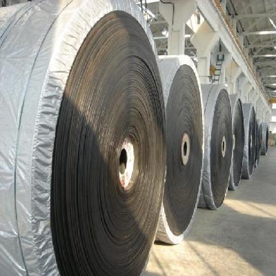 Polyester Conveyor Belt