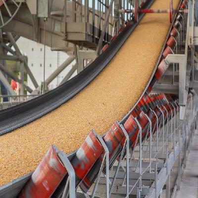 Cotton Conveyor Belts