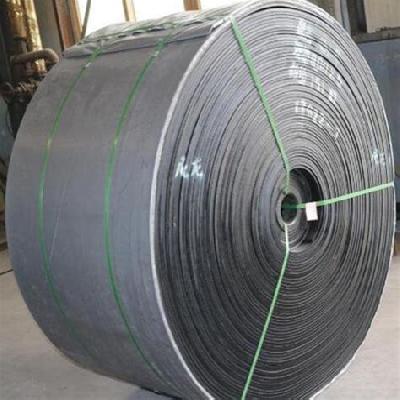 Nylon Conveyor Belt