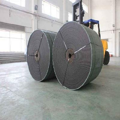 Flame Retardant Nylon Conveyor Belt