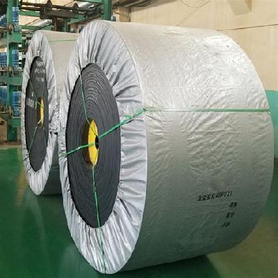 Flame Retardant Nylon Conveyor Belt