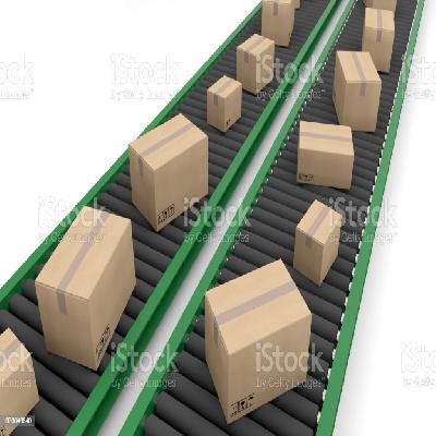 Carton Box Conveyor System