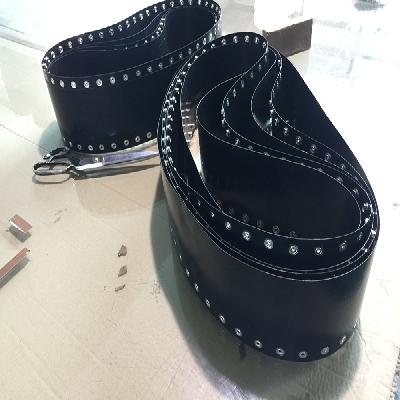 PTFE Seamless Belt 