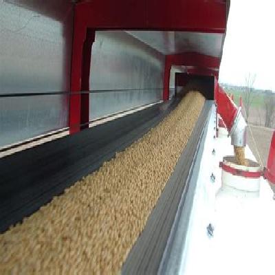 Food Grain Conveyors