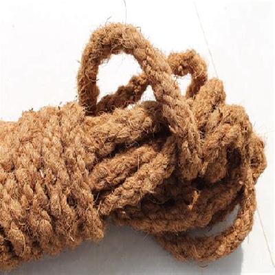 Sutli, Ropes, Coir Brush