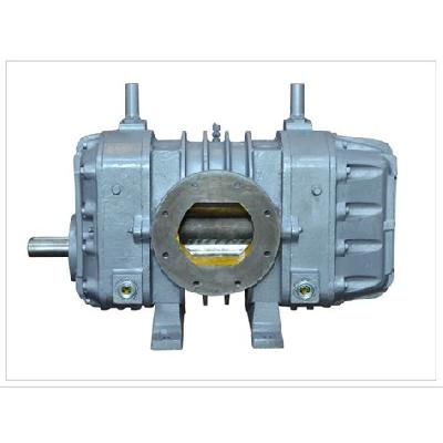 Twin Lobe Air Compressor