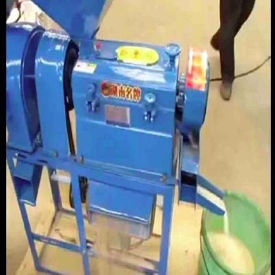 Mini Modern Rice Mill