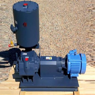 Oil Seal Vacuum Pump