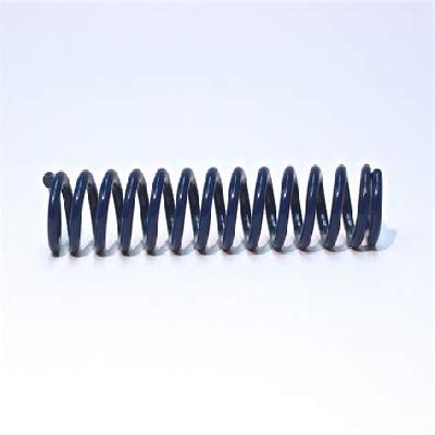 Precision Coil Spring