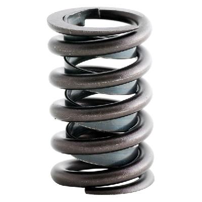 Valve Spring