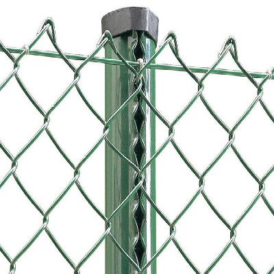 PVC Coated Chain Link Mesh Fence