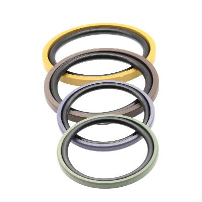 PTFE Piston Seal