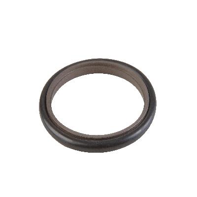 Rod Step Seal