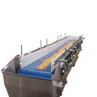 Food Belt Conveyor