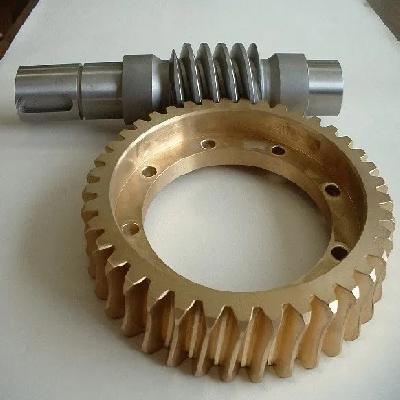 Worm Wheel Gear