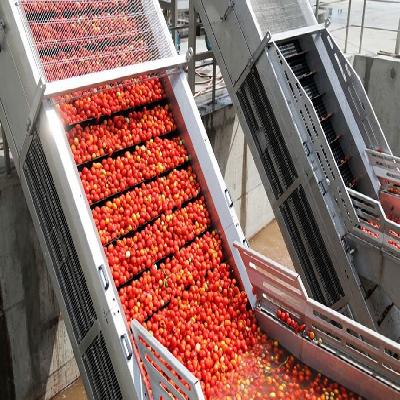 Vegetable Washer