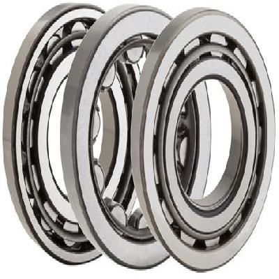 Single Roller Bearings