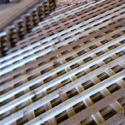 Spiked Lattice