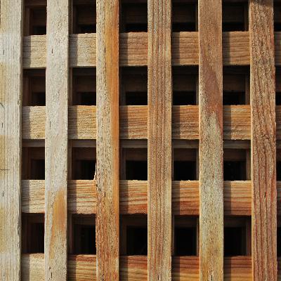 Spiked Wooden Lattice