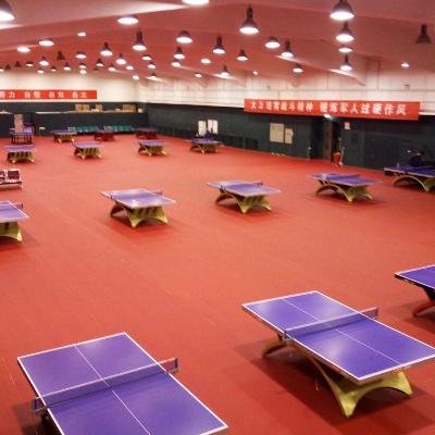 Badminton and Table Tennis Court Floor
