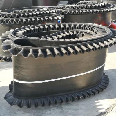 Endless Conveyor Belt