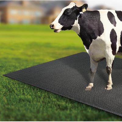 Rubber Cow Stable Mat
