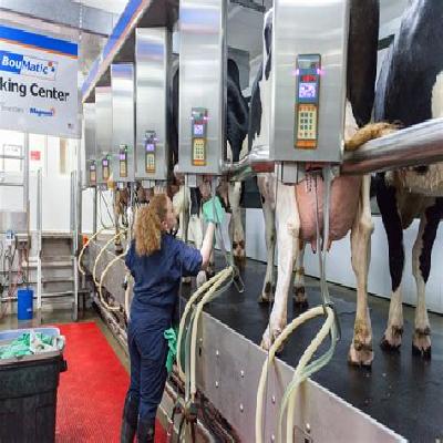 Milking Parlour