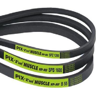 Eco Dynamic V Belts