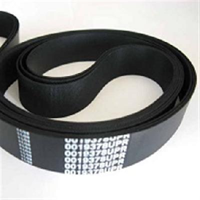 Hilton V Belts