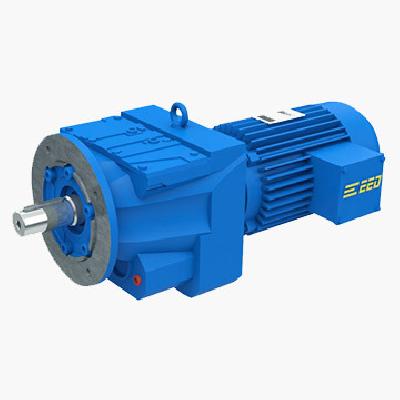 Foot Flange Mounted Geared Motor
