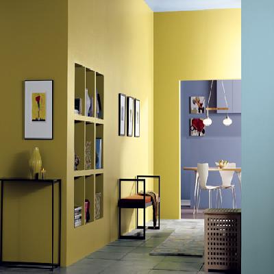 Fairmate Wall Putty