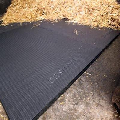 Stable Flooring