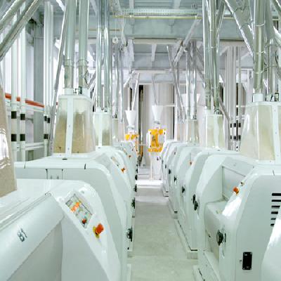 Roller Flour Mill Plant