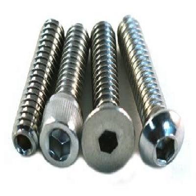 MS Bolt Hinge Plate Type Fasteners