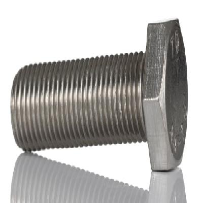 Stainless Steel Hex Bolt