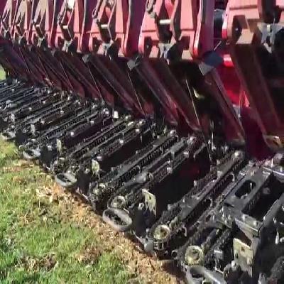 Maize Combine Chain