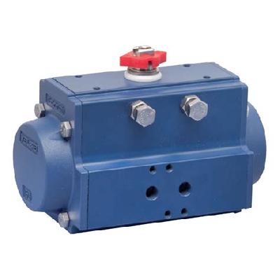 Pneumatic Actuator